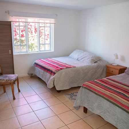 Hostal Casa 95 Vicuña 外观 照片