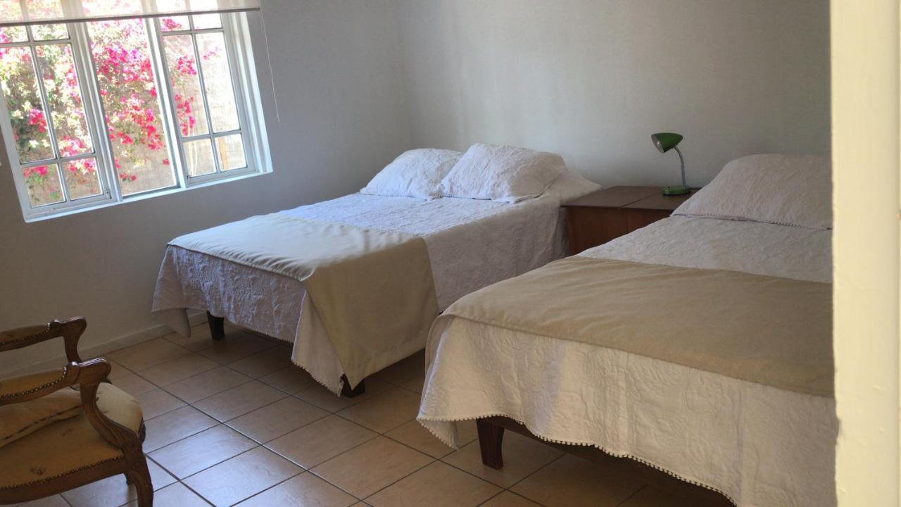 Hostal Casa 95 Vicuña 外观 照片